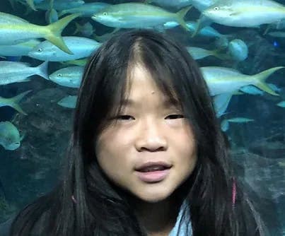 Cindy Wang